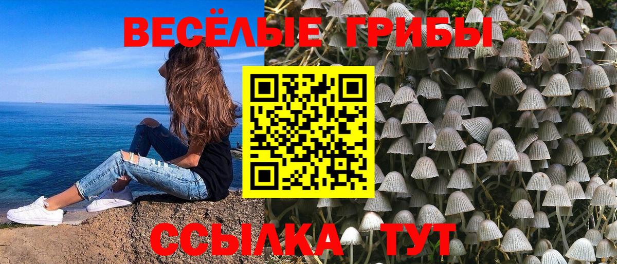 Галлюциногенные грибы прущие грибы Гудермес