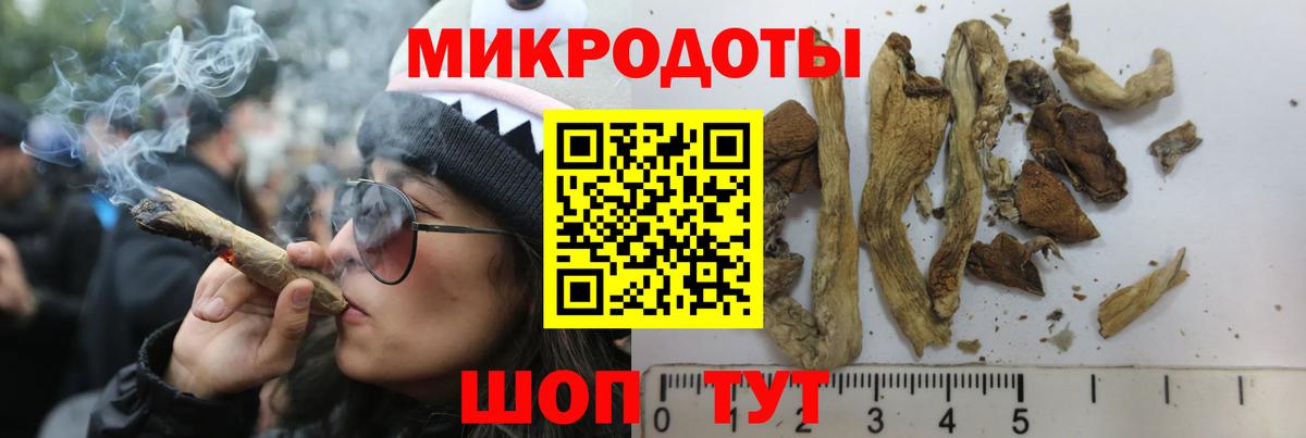Гудермес  Галлюциногенные грибы GOLDEN TEACHER  Вход с VPN 